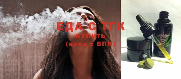 индика Инта