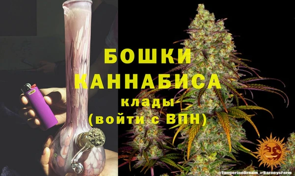 стаф Белоозёрский