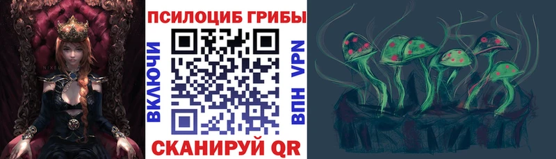 Псилоцибиновые грибы Psilocybe  blacksprut онион  Петропавловск-Камчатский 